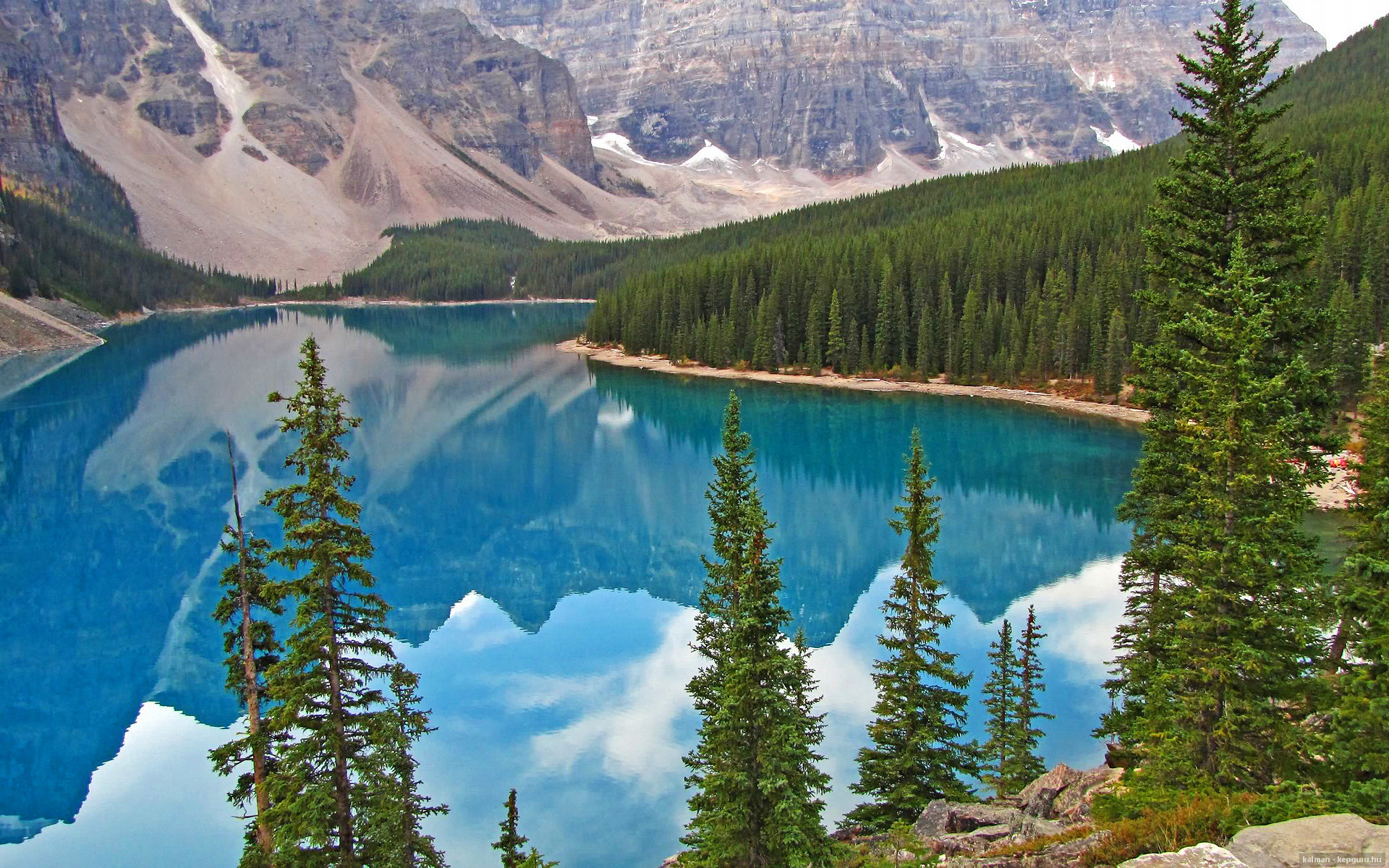 黄蜂蛰伏终亮剑,世界排名争夺战焦点战,夏洛特力擒骑士震动联盟