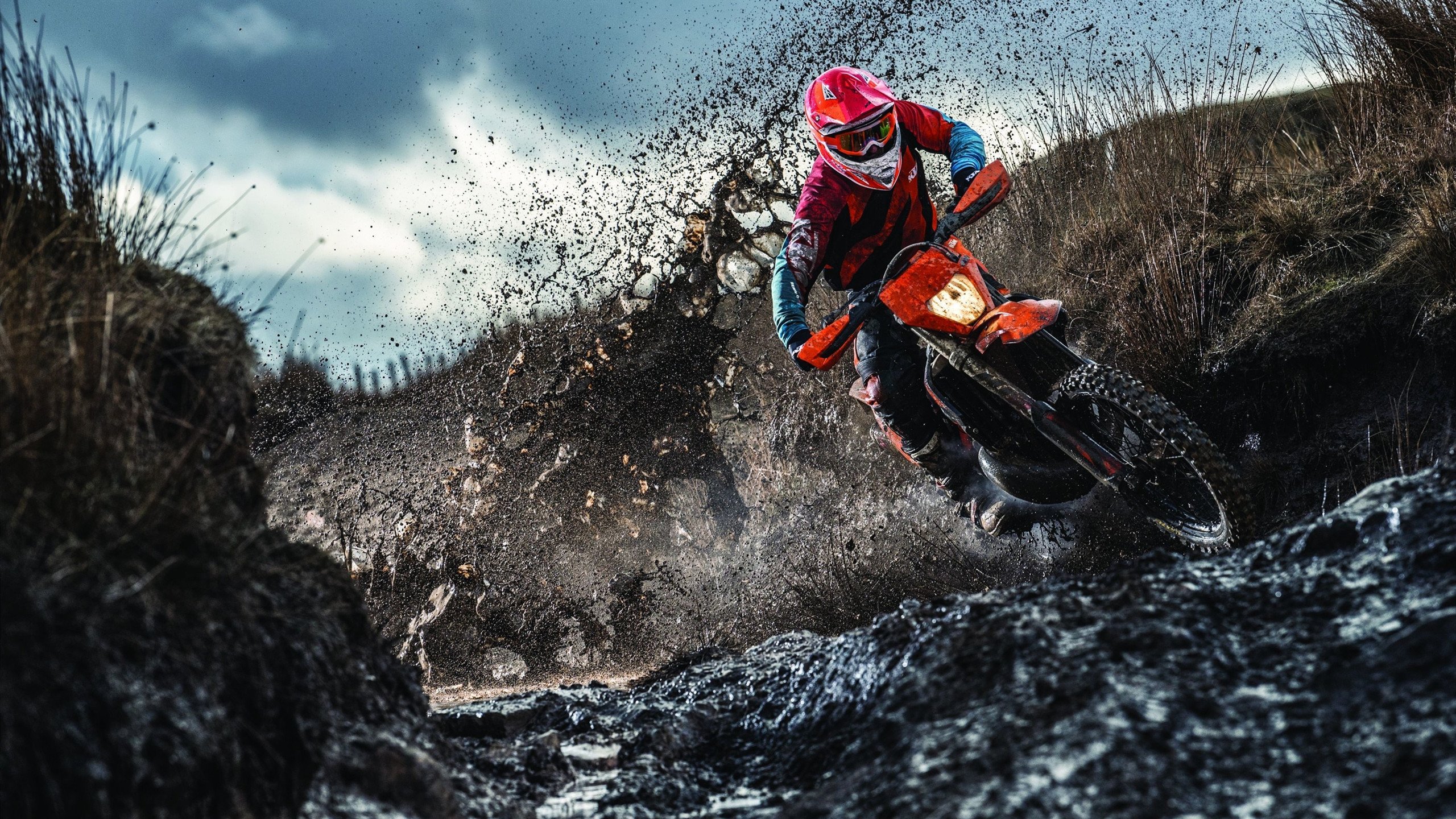 西决生死战之夜，范弗利特全场最佳无争议