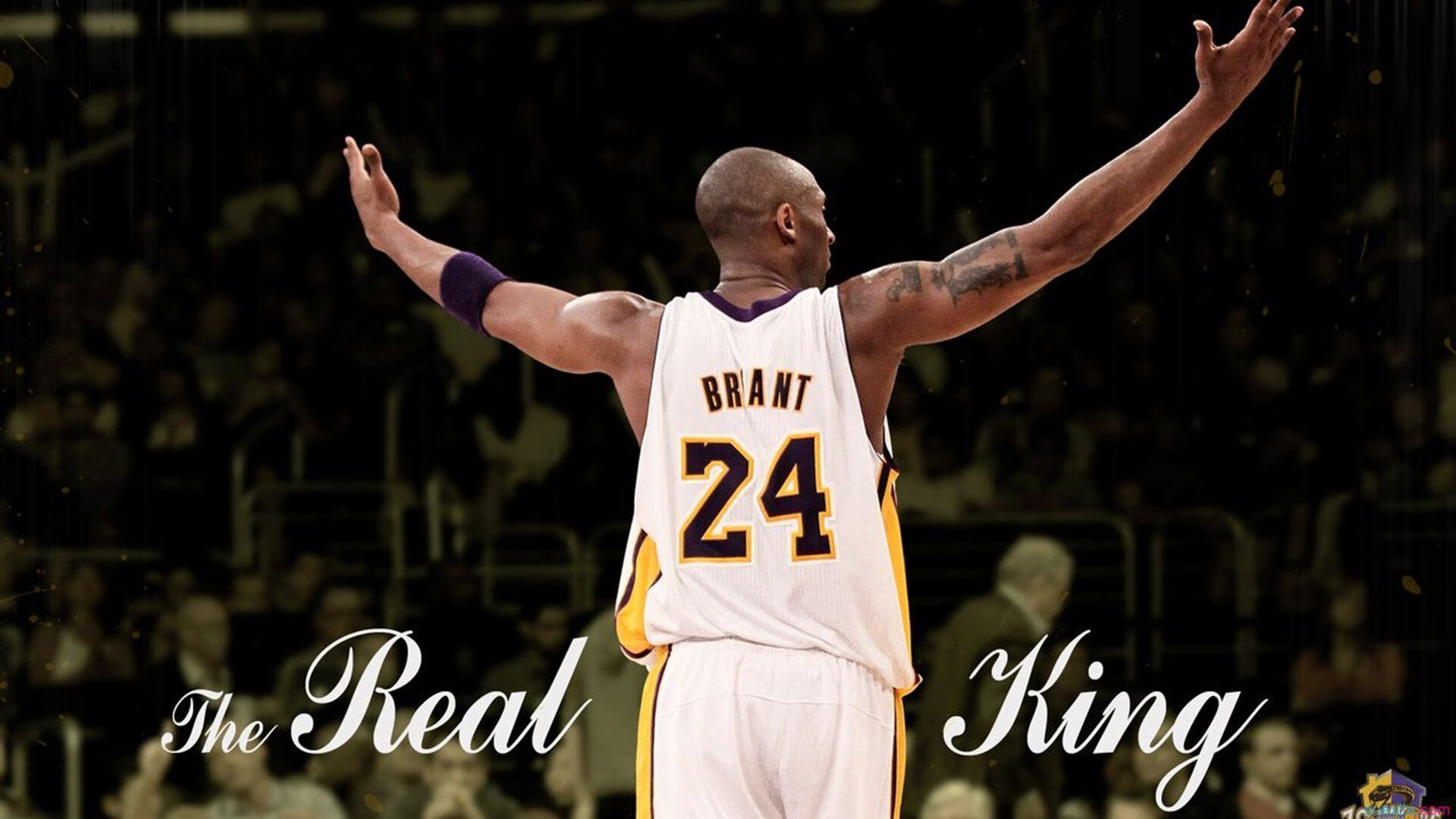 从杭州到克利夫兰，广厦战术风暴冲垮骑士，爱德华兹化身关键先生